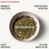 The Honest Kitchen&reg; Dehydrated Whole Grain Dog Food - Chicken Recipe - 