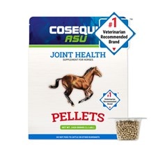 Cosequin&reg; ASU Pellets