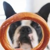 RedBarn&reg; Bully Rings Premium Dog Chews - 