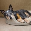 RedBarn&reg; Bully Slices&reg; Premium Beef Dog Chews - 