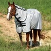 Amigo&reg; Stock Horse Fly Sheet - Silver/Black