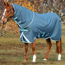 Amigo® AmEco 12 Plus Turnout Blanket