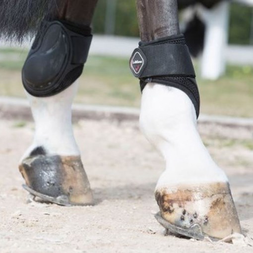 lemieux tendon boots