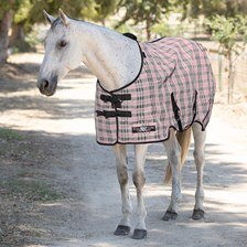 Kensington SureFit® Protective Fly Sheet w/ Leg Arches Made Exclusively for SmartPak - Clearance!