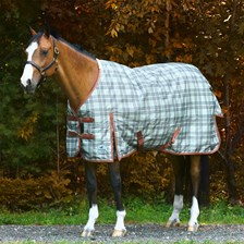 SmartPak Classic Turnout Sheet- Limited Edition