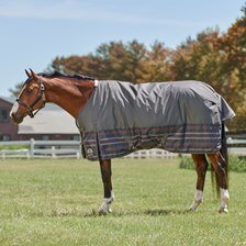 SmartPak Classic Turnout Blanket - Limited Edition