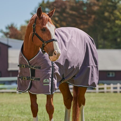 SmartPak Deluxe Turnout Blanket with Earth Friendl