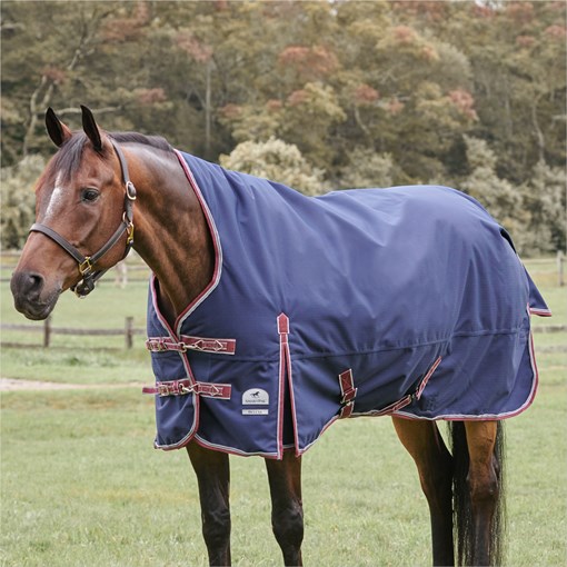 SmartPak Deluxe High Neck Turnout Blanket with Ear