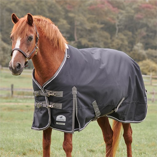 SmartPak Deluxe Pony Turnout Blanket with Earth Fr