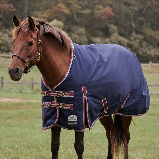 SmartPak Deluxe Pony Turnout Sheet with Earth Frie