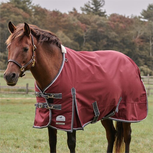 SmartPak Deluxe Pony Turnout Sheet with Earth Frie