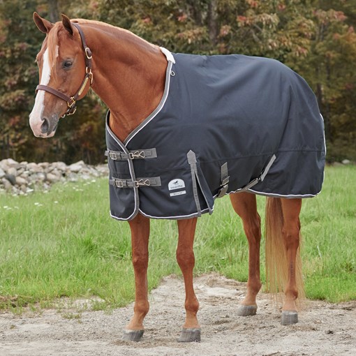 SmartPak Deluxe Stocky Fit Turnout Blanket with Ea