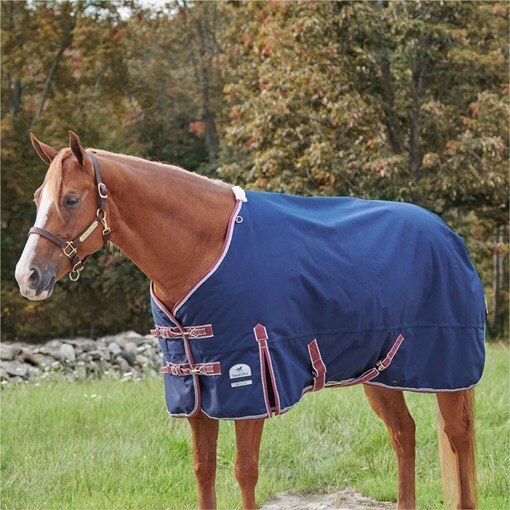 SmartPak Deluxe Stocky Fit Turnout Sheet with Eart