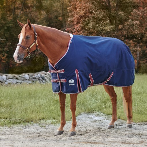 SmartPak Deluxe Stocky Fit Turnout Blanket with Ea