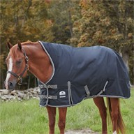 SmartPak Deluxe Stocky Fit High Neck Turnout Blanket with Earth Friendly Fabric