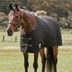 SmartPak Deluxe Waffle Cooler - Black w/ Black Trim