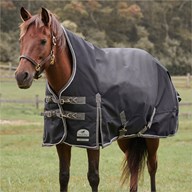 SmartPak Deluxe High Neck Pony Turnout Blanket with Earth Friendly Fabric