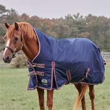SmartPak Deluxe High Neck Pony Turnout Blanket with Earth Friendly Fabric