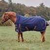 SmartPak Deluxe High Neck Pony Turnout Blanket with Earth Friendly Fabric - 