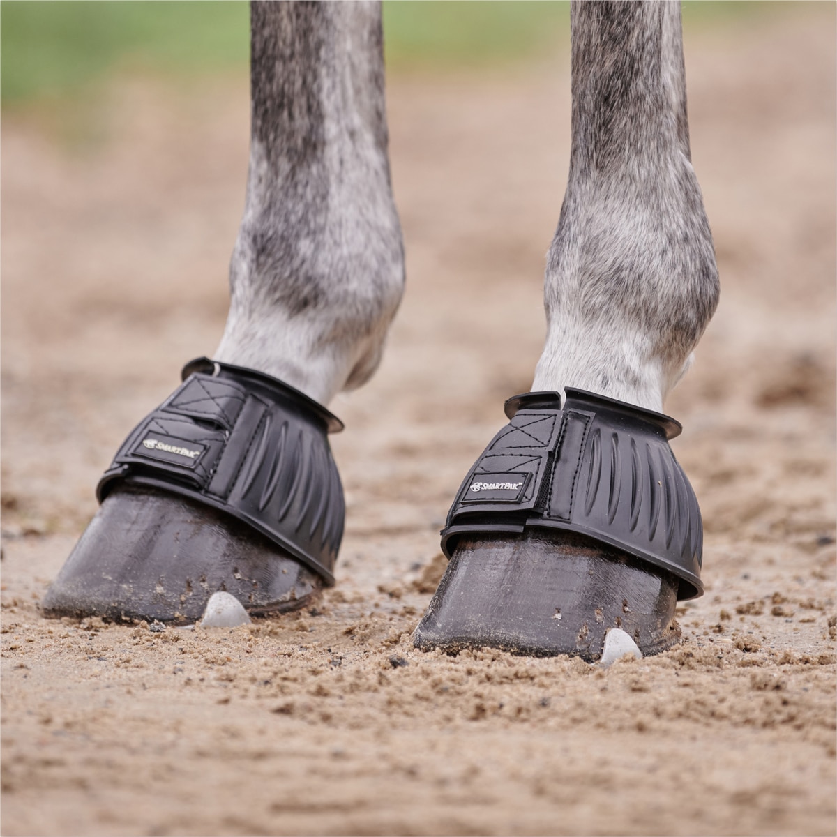 Smartpak sale bell boots