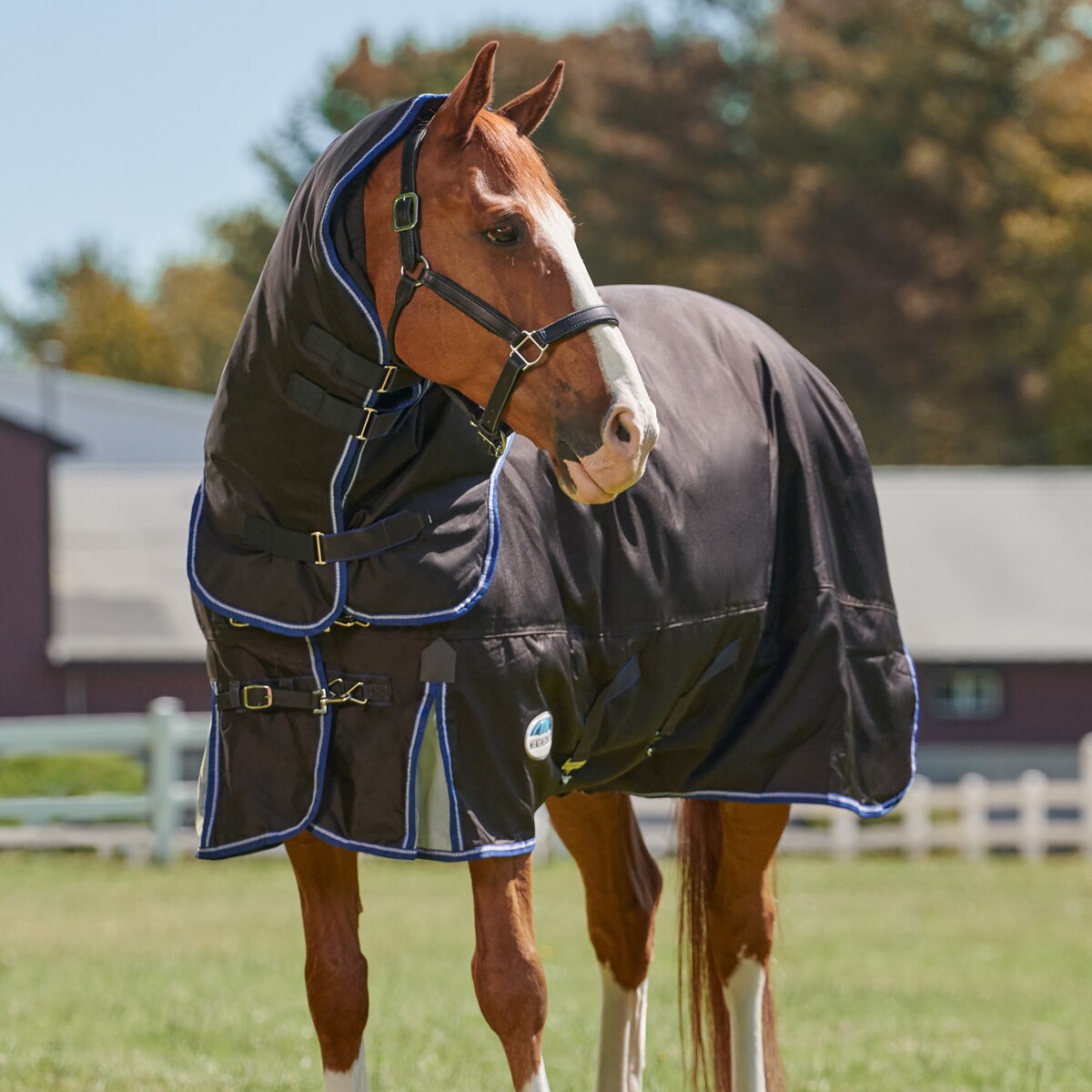 Weatherbeeta Comfitec Ultra Cozi II Detach-A-Neck Medium Horse Blanket 