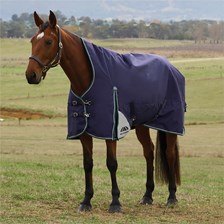 WeatherBeeta&reg; ComFiTec Plus Dynamic High Neck Turnout Sheet