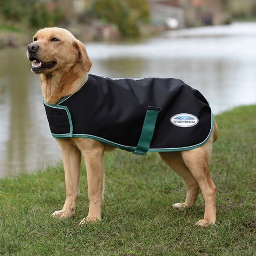 WeatherBeeta Green-Tec 900D Dog Coat