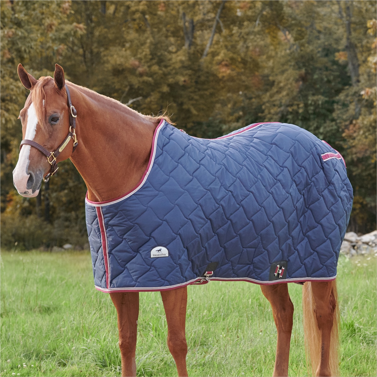 NEW 72” COTTON THERMAL NAVY RED PLAID HORSE SHEET WARM BARN BLANKET COOLER LINER 