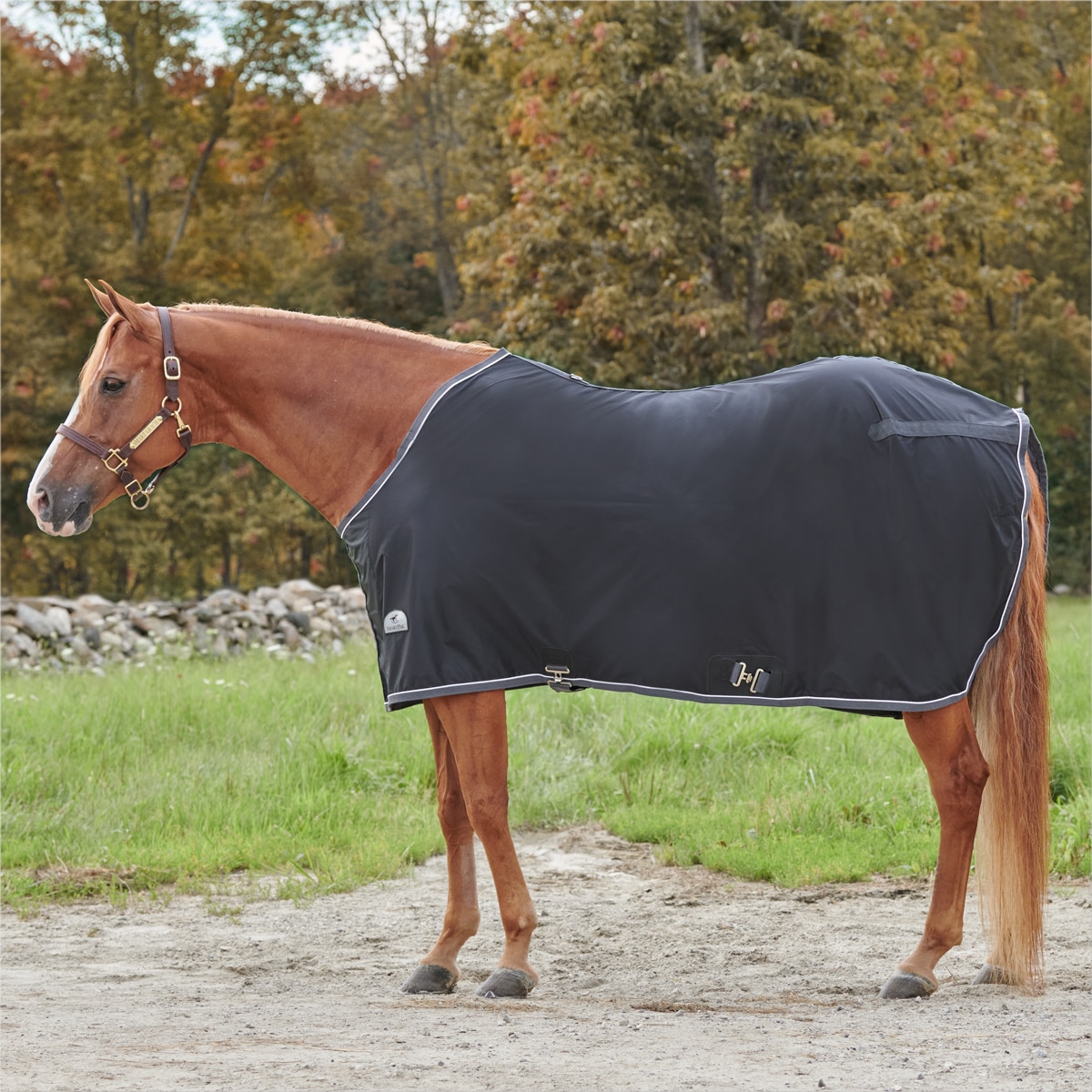 SmartPak Stocky Fit Quilted Stable Blanket - Closed Front