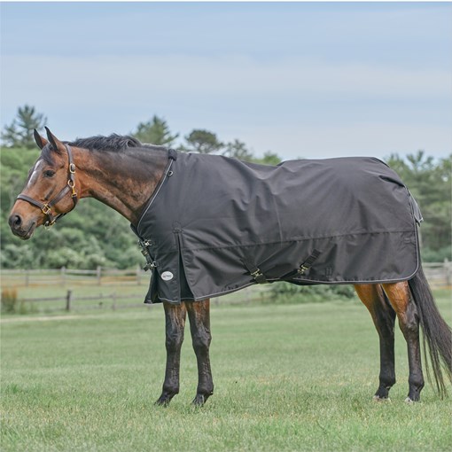 Horse Blanket Sheet Leg Straps Elastic Adjustable Black Replacement Single  Snaps