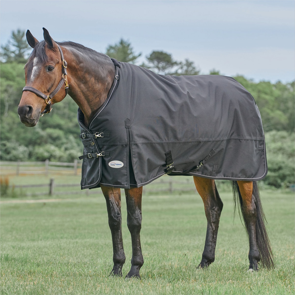 Horse Blanket Replacement Adjustable 2  Wide Nylon Belly Strap