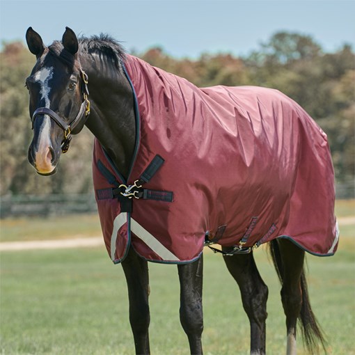 Rambo&reg; Wug Turnout Blanket w/ Leg Arches & Fre