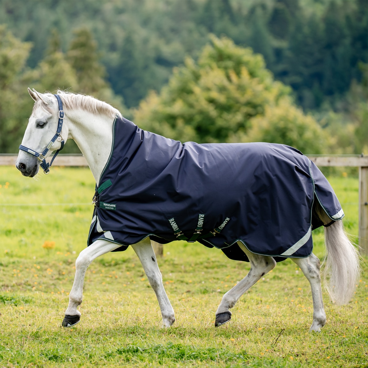 Rambo® 1680D Wug Turnout Blanket