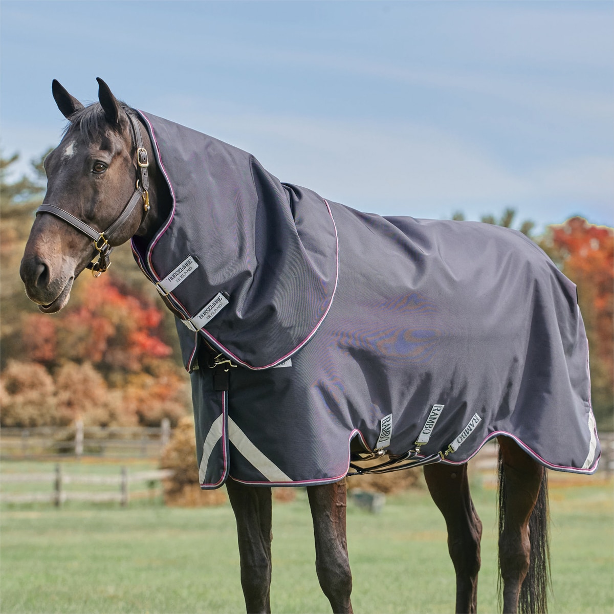 Horseware Blankets - Horse Blankets By Brand from SmartPak Equine