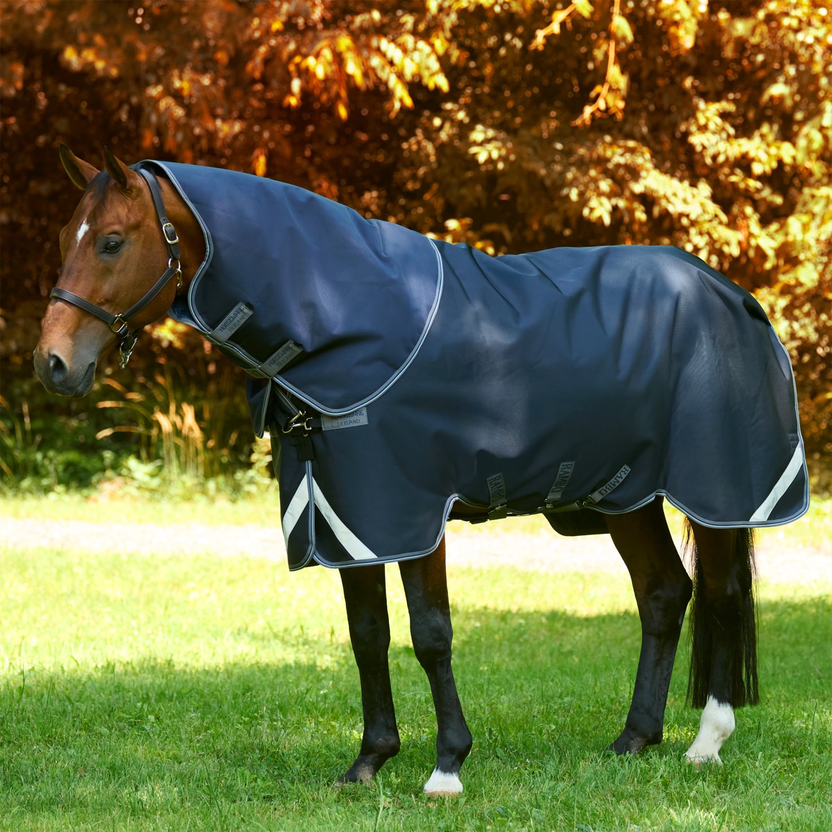 Horseware Blankets - Horse Blankets By Brand from SmartPak