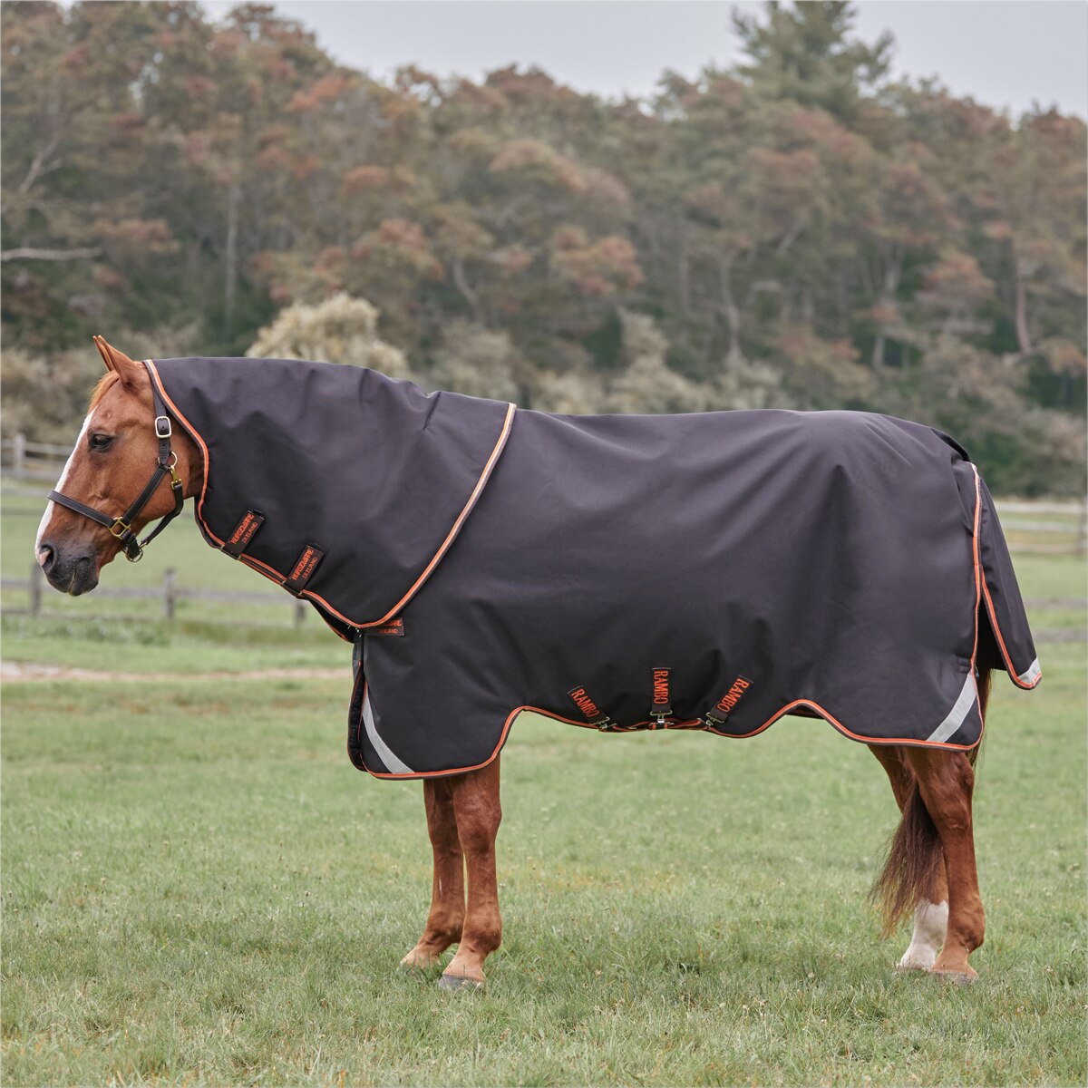 Couverture d'Extérieur Rambo Supreme Turnout 1680D 420g - Horseware