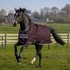 Amigo&reg; Hero 600D Ripstop Turnout Blanket - Fig/ Silver