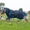Amigo&reg; Hero 6 Ripstop Petite Plus Turnout Blanket - Navy w/ Electric Blue  & Navy Trim