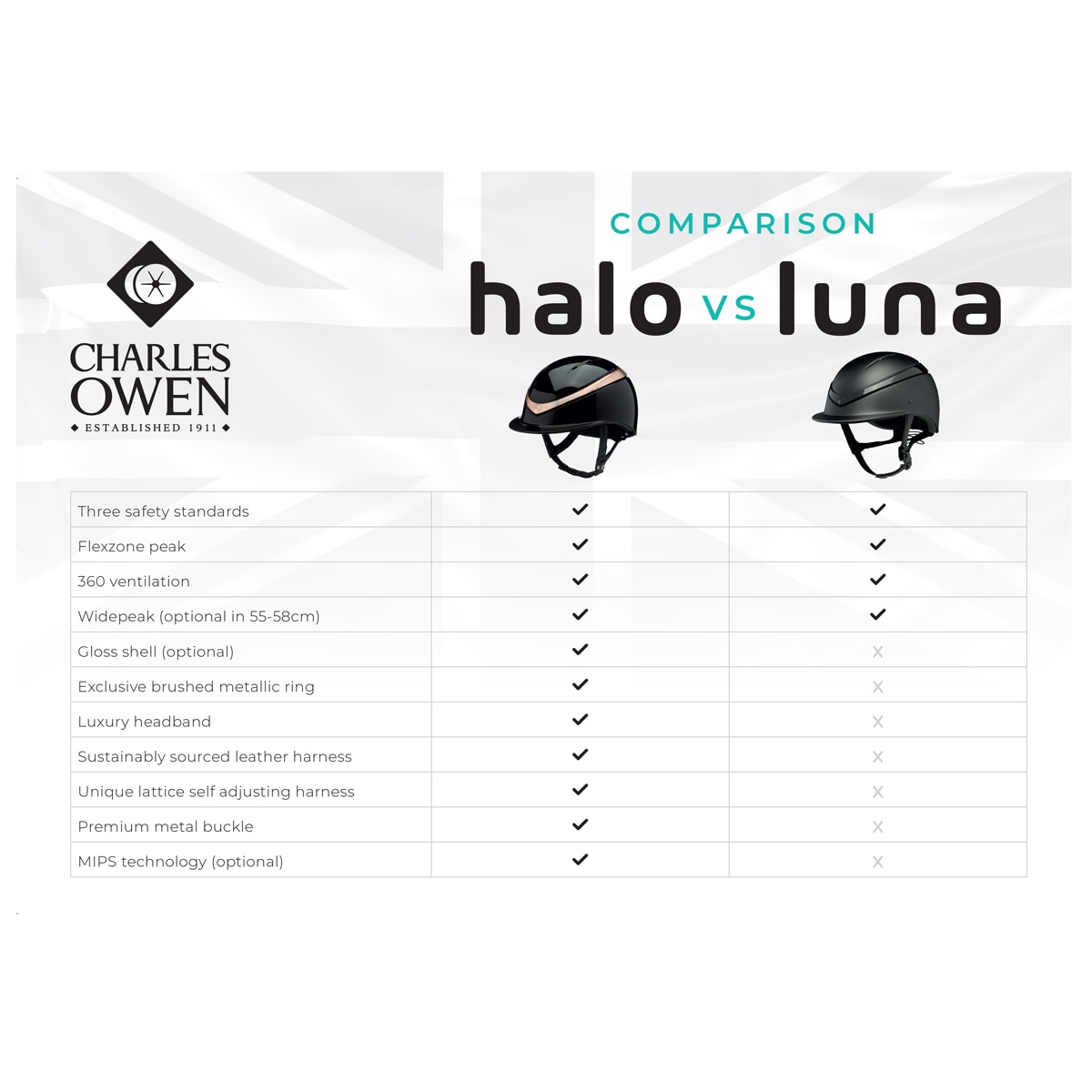 Charles Owen Halo MIPS Helmet