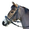 Wintec Bridle with Flash - Black