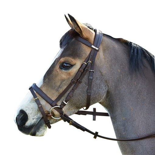 Wintec Bridle with Flash 