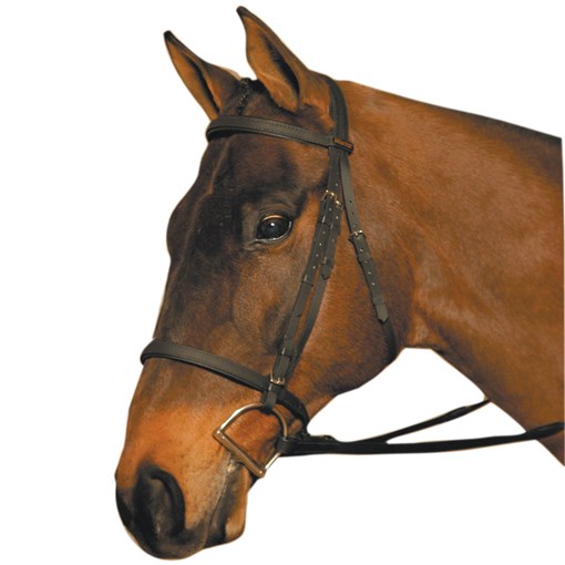 Wintec Bridle