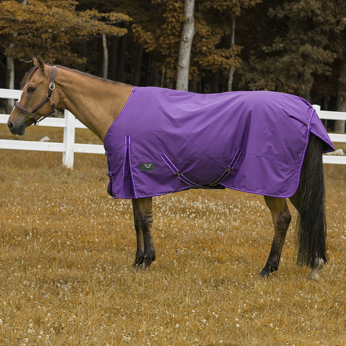 Tail Cover 78"  FULL COVER Horse Waterproof Purple Blanket W/Neck Gussets 