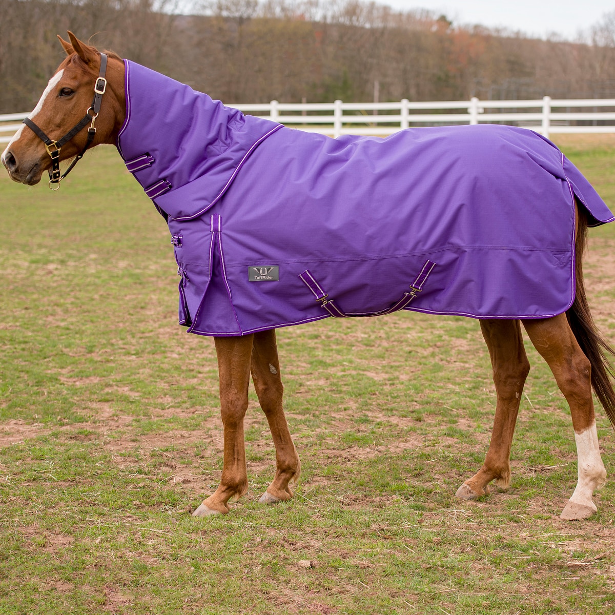 TuffRider Elastic Horse Blanket Leg Straps