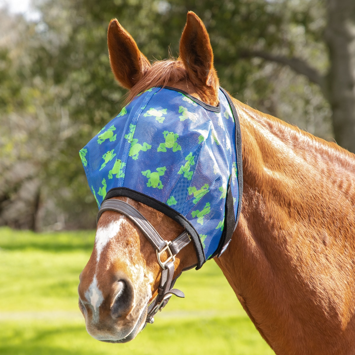 Showman® Sleepy Eyes Mesh Fly Mask – Dark Horse Tack Company