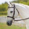 Signature by Antares Hunter Bridle - Brown