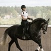 Back on Track Posture Reminder - 