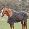 Back On Track Sienna Mesh Sheet - Black
