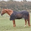 Back On Track Sienna Mesh Sheet - Black