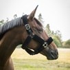 Back On Track Audrey Fleece Halter - 